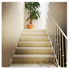 Hotel Boutique Elvira Plaza | Sevilla | Galerie 8