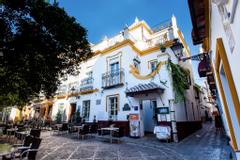 Hotel Boutique Elvira Plaza | Sevilla | Galerie 1