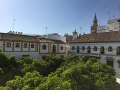 Hotel Boutique Elvira Plaza | Sevilla | Galerie 3