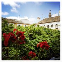 Hotel Boutique Elvira Plaza | Sevilla | 3 reasons to stay with us - 3