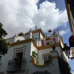 Hotel Boutique Elvira Plaza | Sevilla | Galerie 4