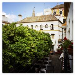 Hotel Boutique Elvira Plaza | Sevilla | Galerie 5