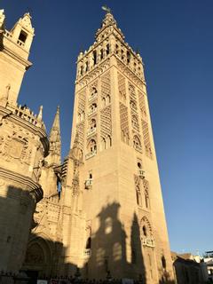 Hotel Boutique Elvira Plaza | Sevilla | Galerie 28