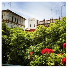 Hotel Boutique Elvira Plaza | Sevilla | Galerie 16